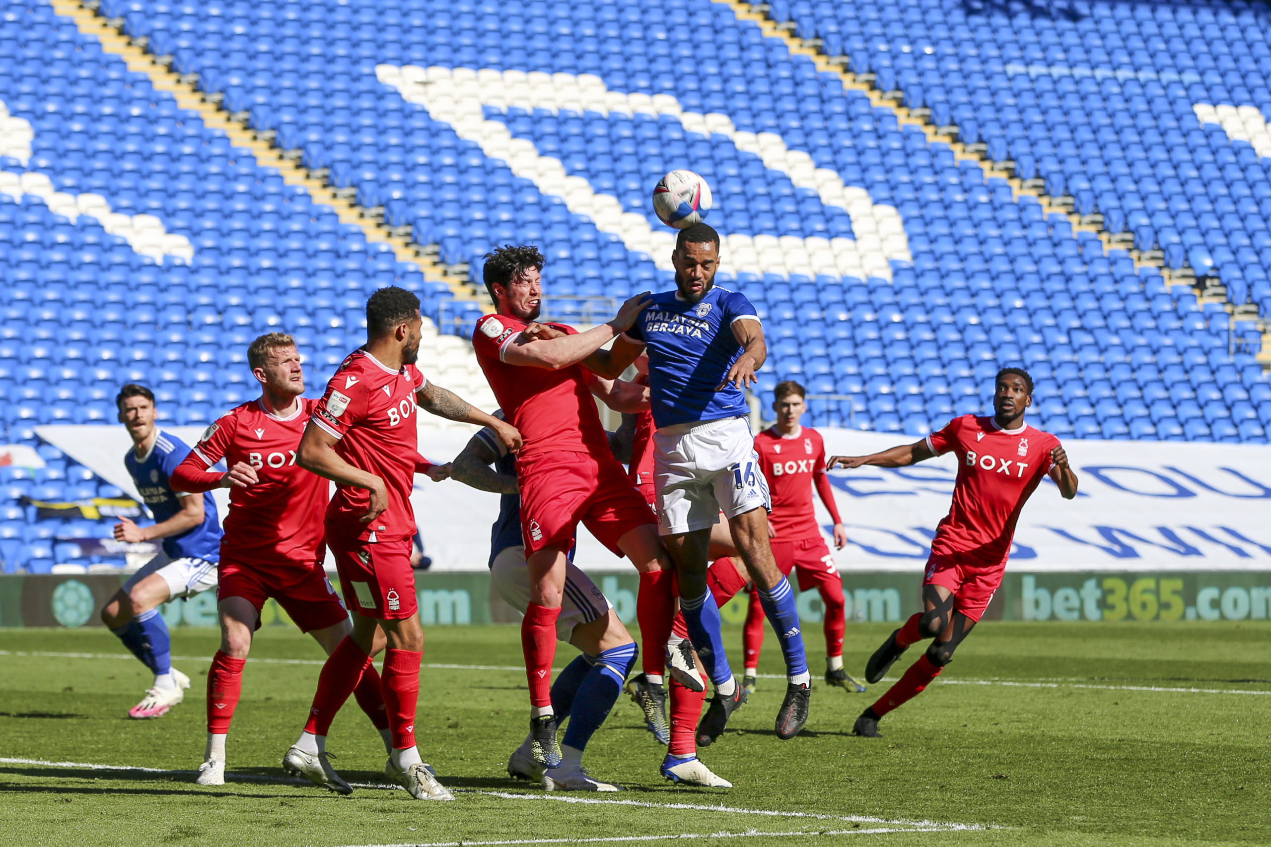 Photo by Cardiff City FC/Getty Images