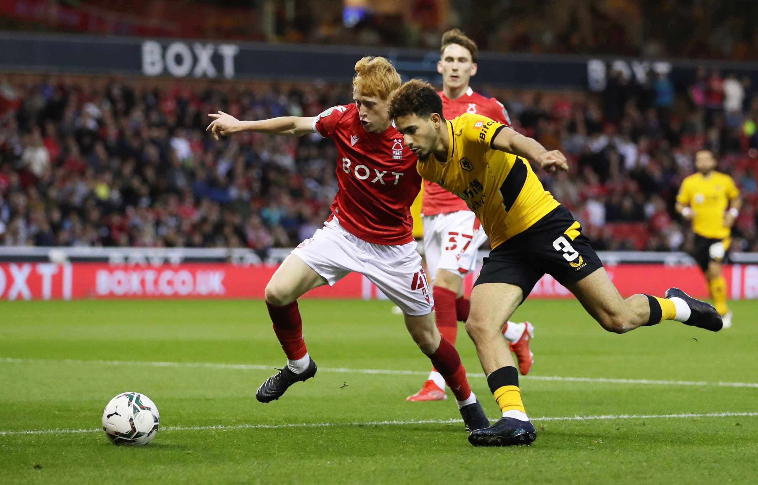 Photo by Jack Thomas - WWFC/Wolves via Getty Images