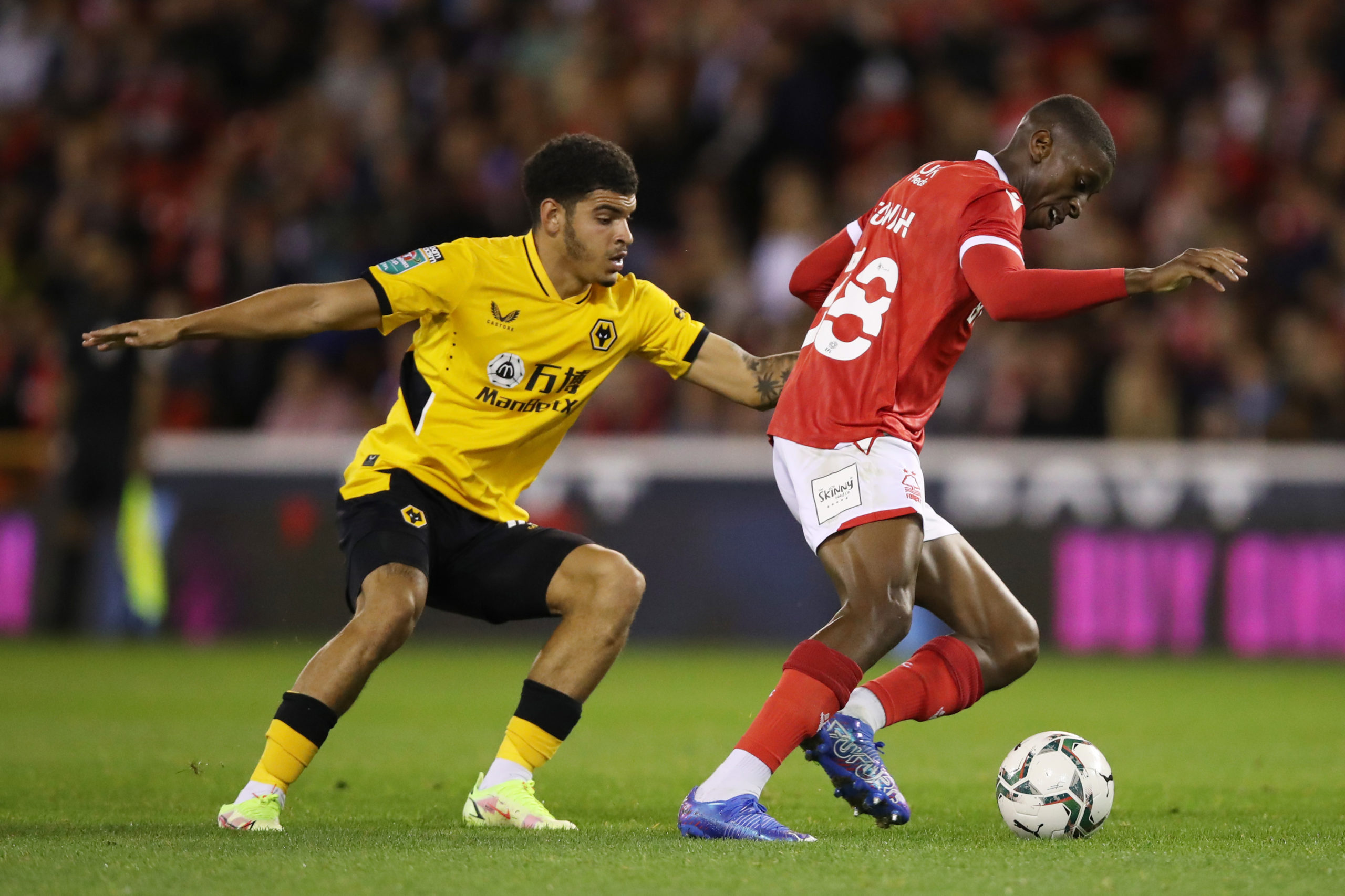 Photo by Jack Thomas - WWFC/Wolves via Getty Images