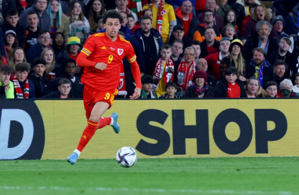 Wales v Czech Republic - International Friendly