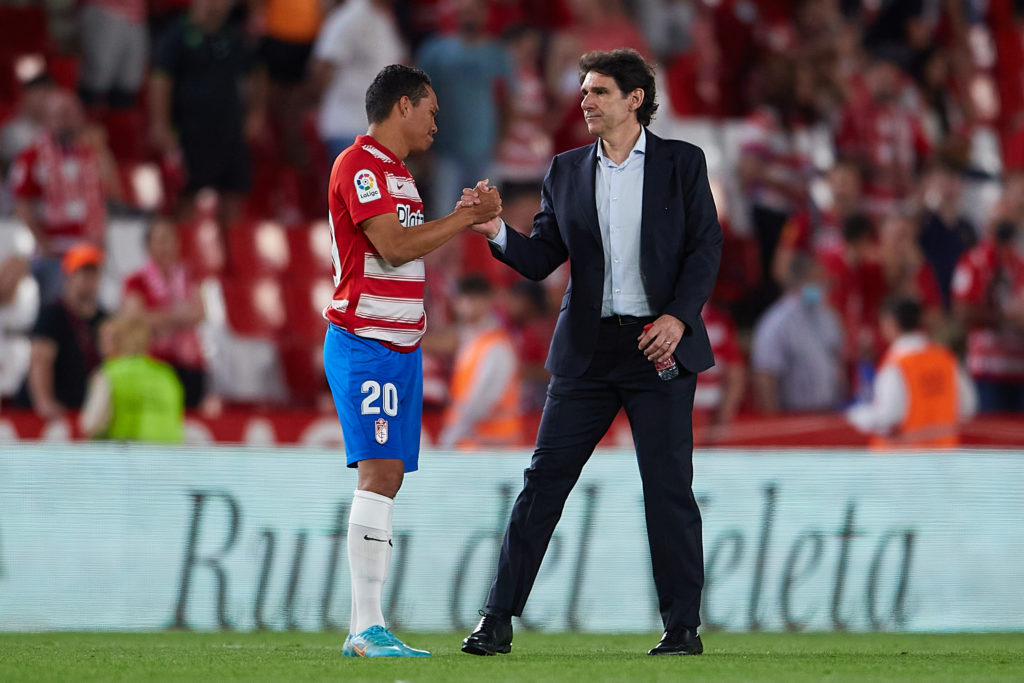 Granada CF v RCD Espanyol - La Liga Santander
