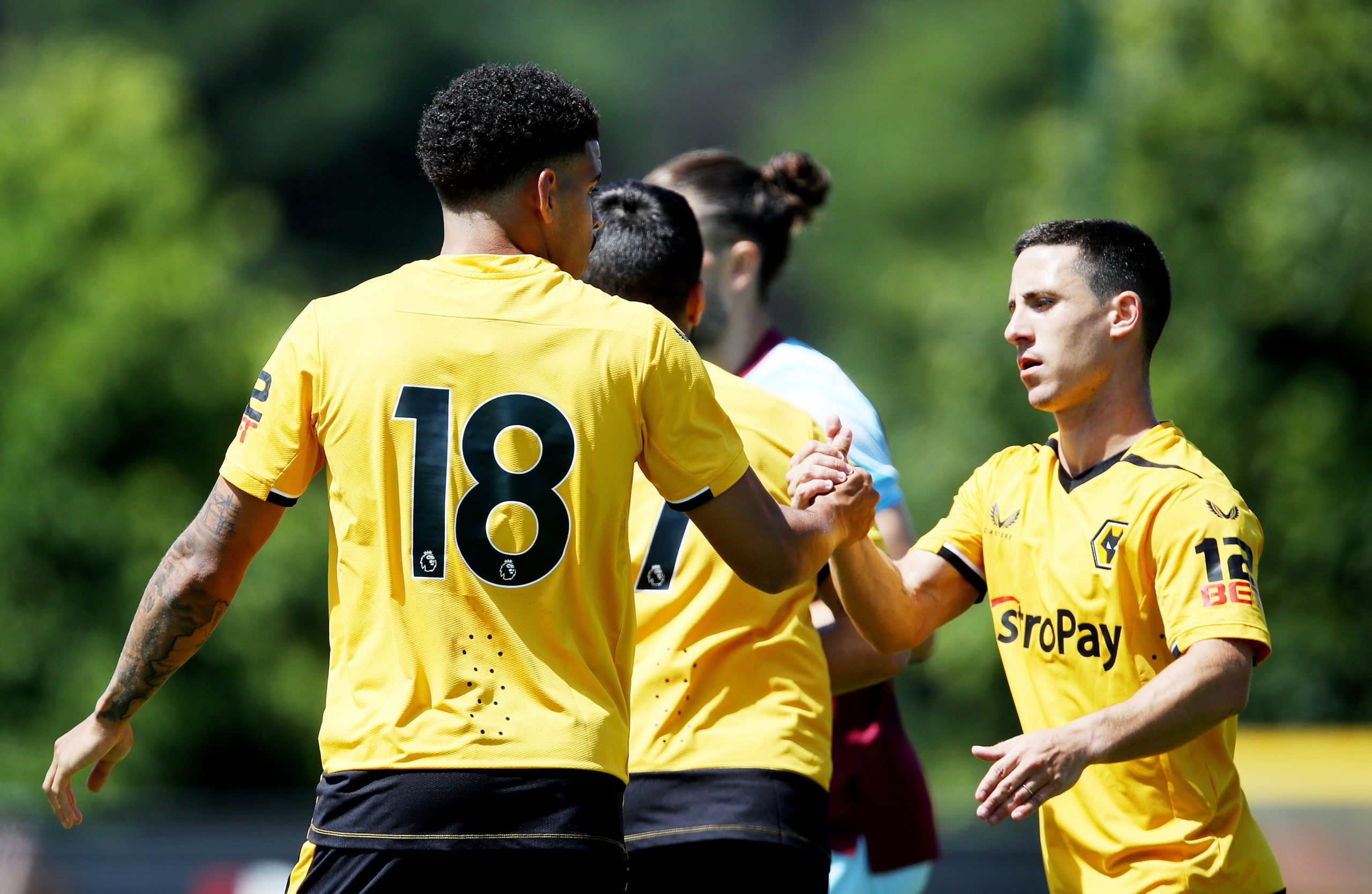Photo by Jack Thomas - WWFC/Wolves via Getty Images