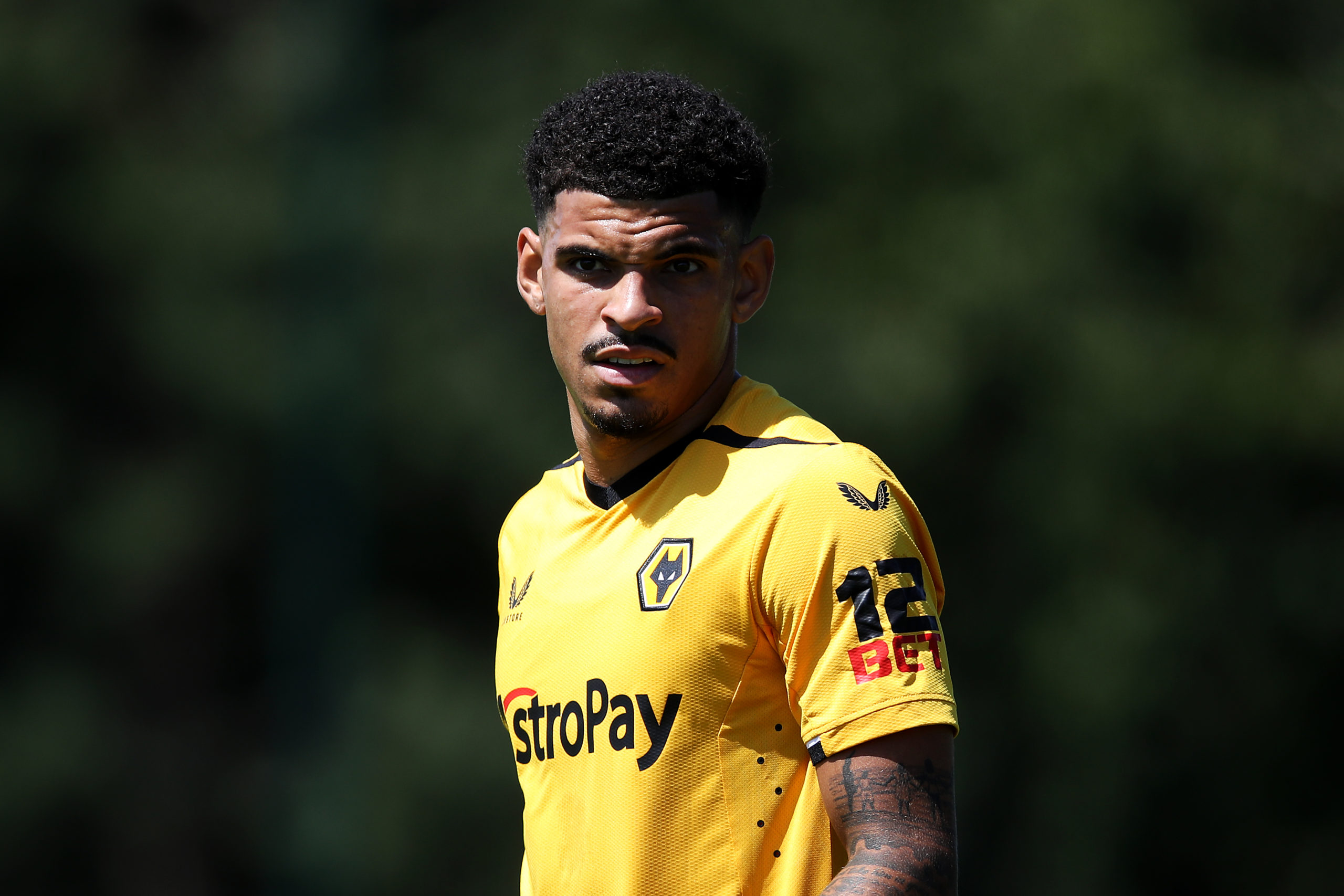 Photo by Jack Thomas - WWFC/Wolves via Getty Images