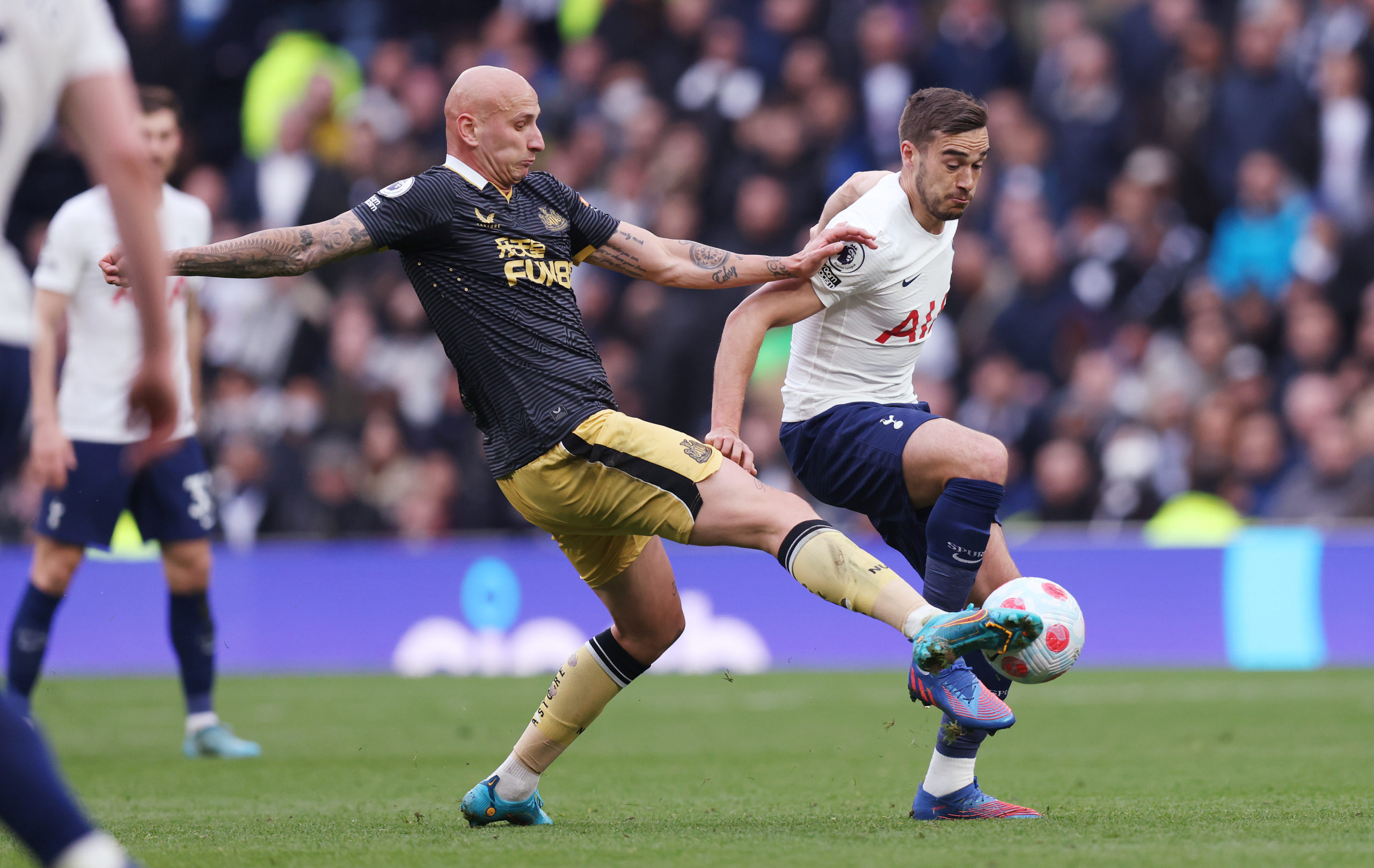 Photo by Tottenham Hotspur FC/Tottenham Hotspur FC via Getty Images