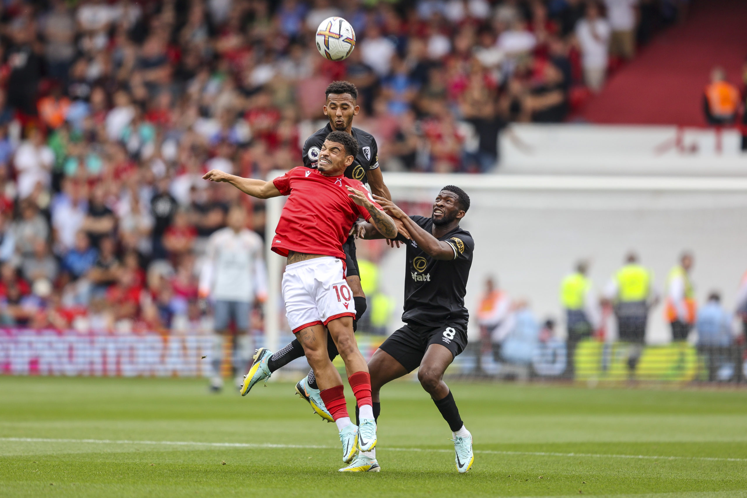 Photo by Robin Jones - AFC Bournemouth/AFC Bournemouth via Getty Images
