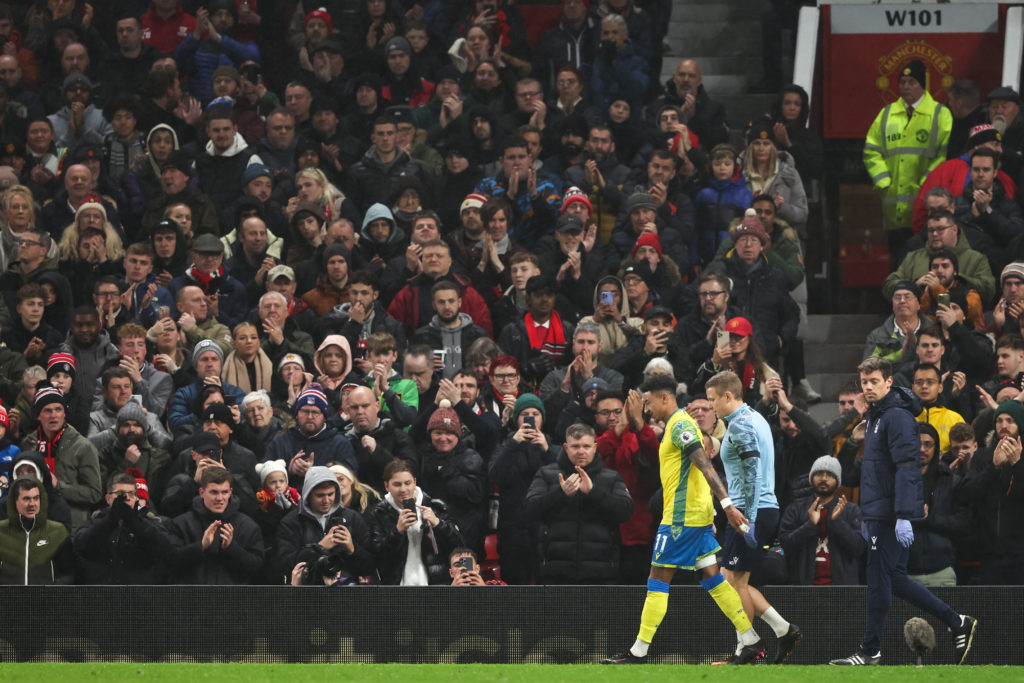Cooper Forest Lingard