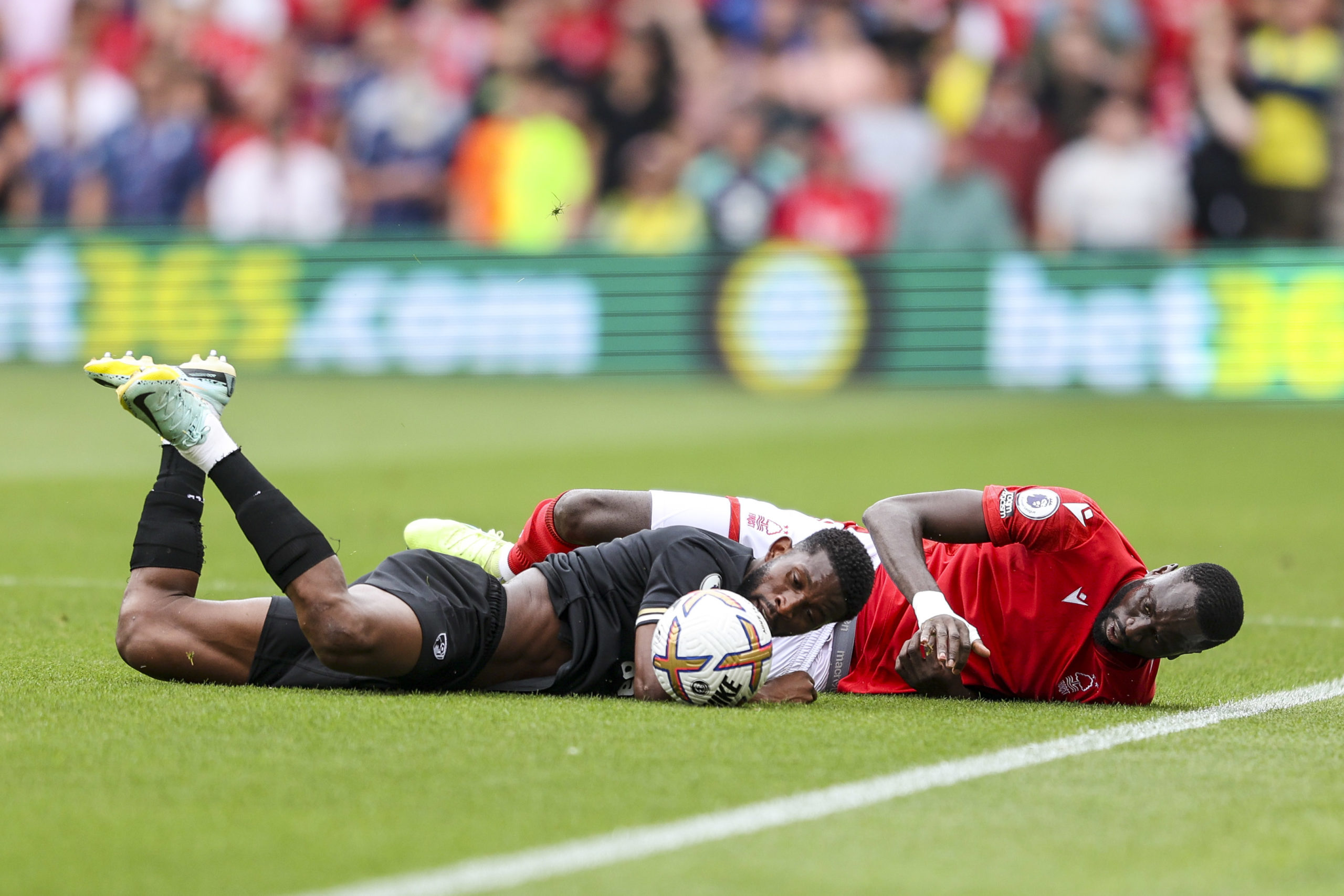 Photo by Robin Jones - AFC Bournemouth/AFC Bournemouth via Getty Images