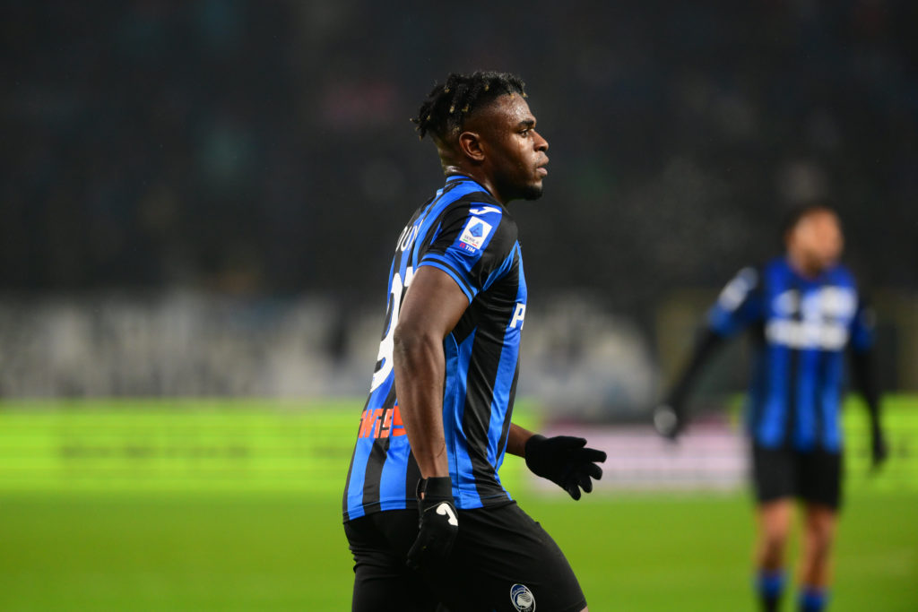 Forest linked Zapata