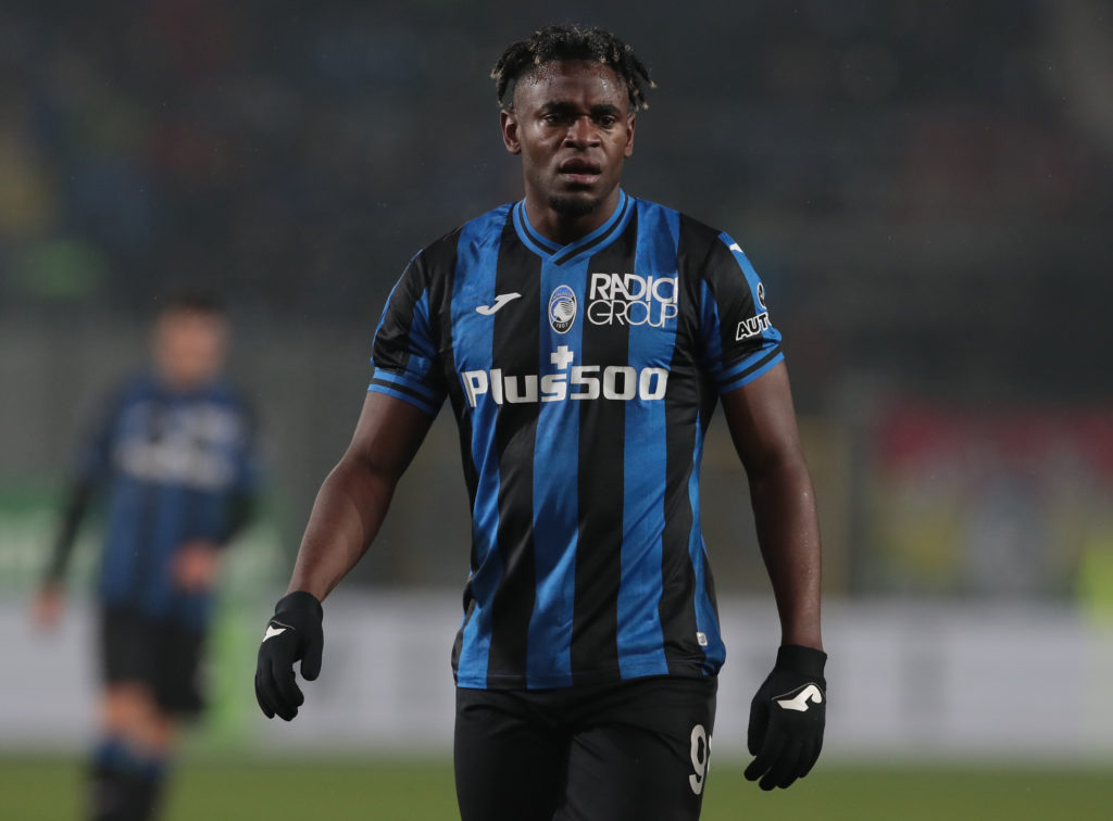 Forest linked Zapata