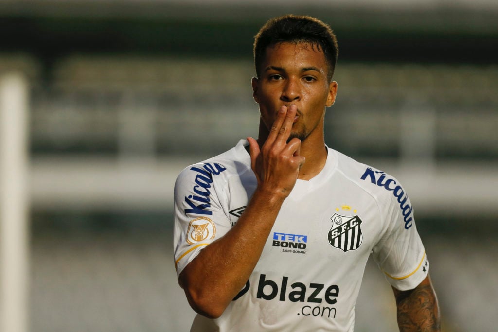 Santos v Botafogo - Brasileirao 2023