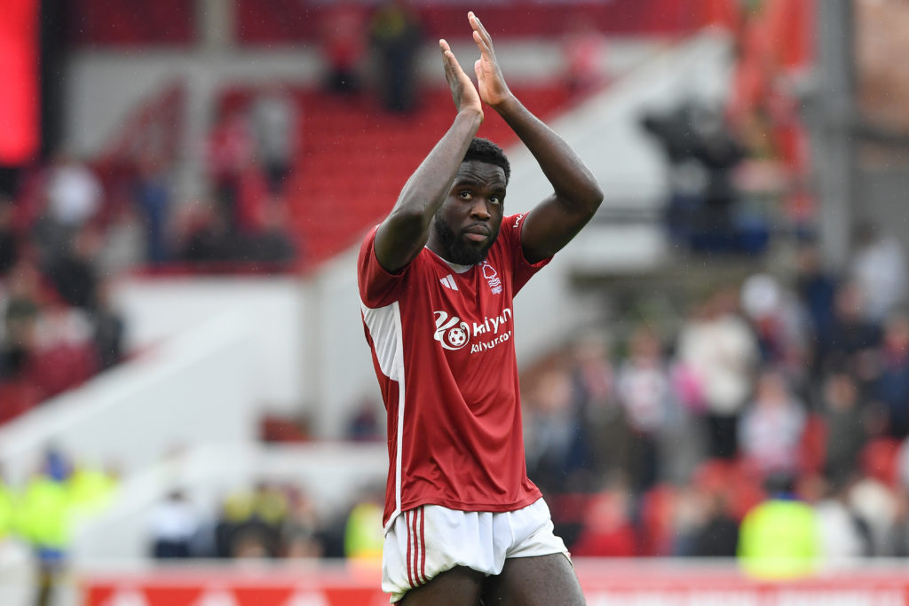 Forest Mangala
