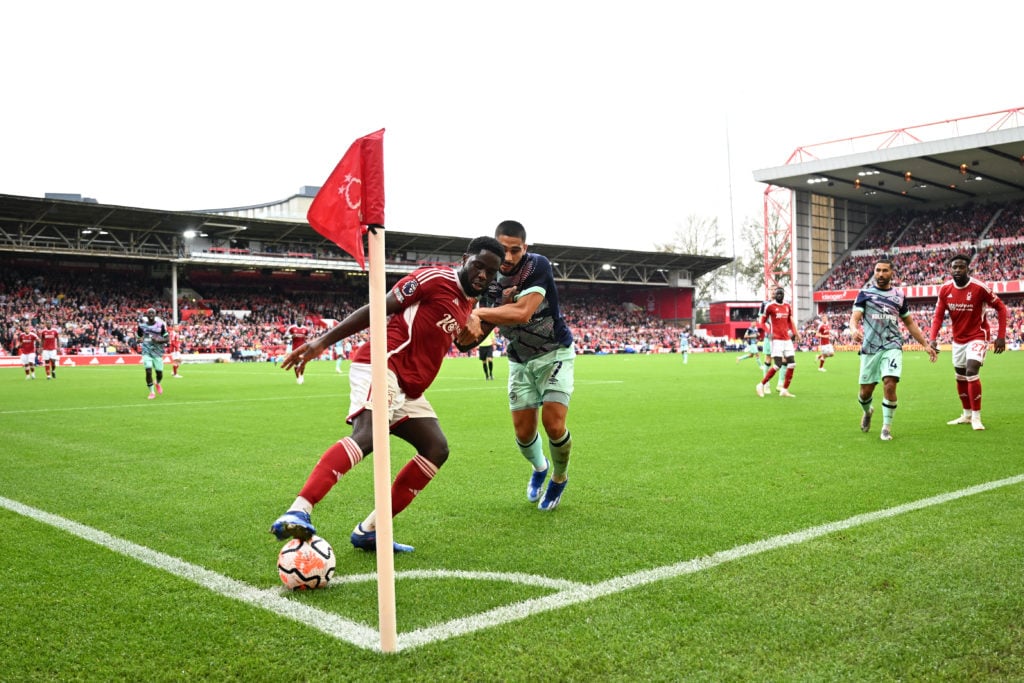 Forest Mangala