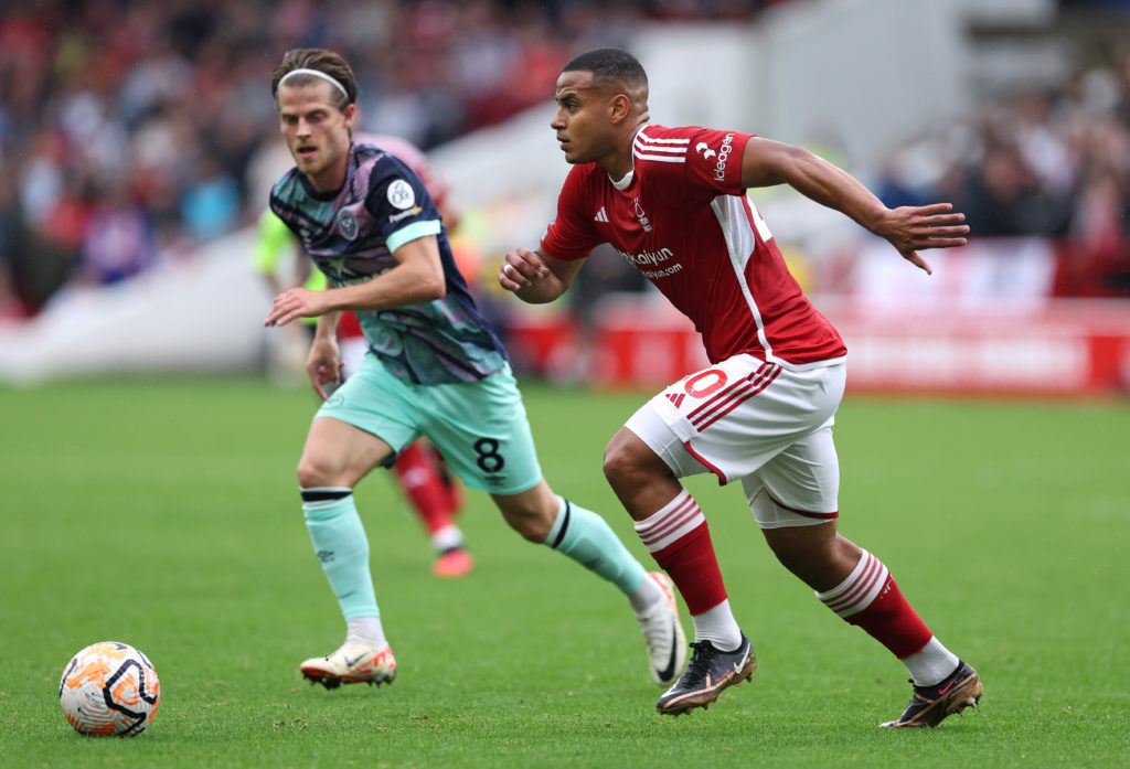 Forest Murillo