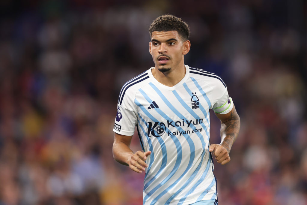 Forest Gibbs-White