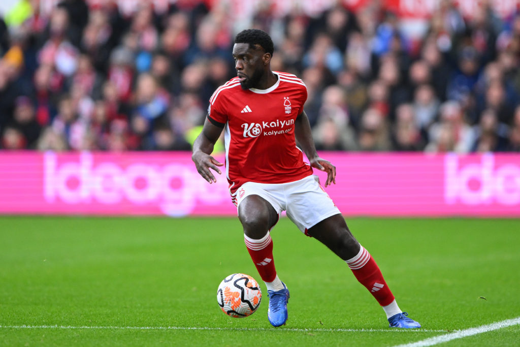 Forest Mangala