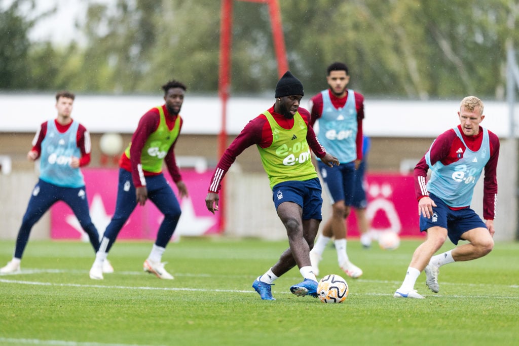 Forest Mangala