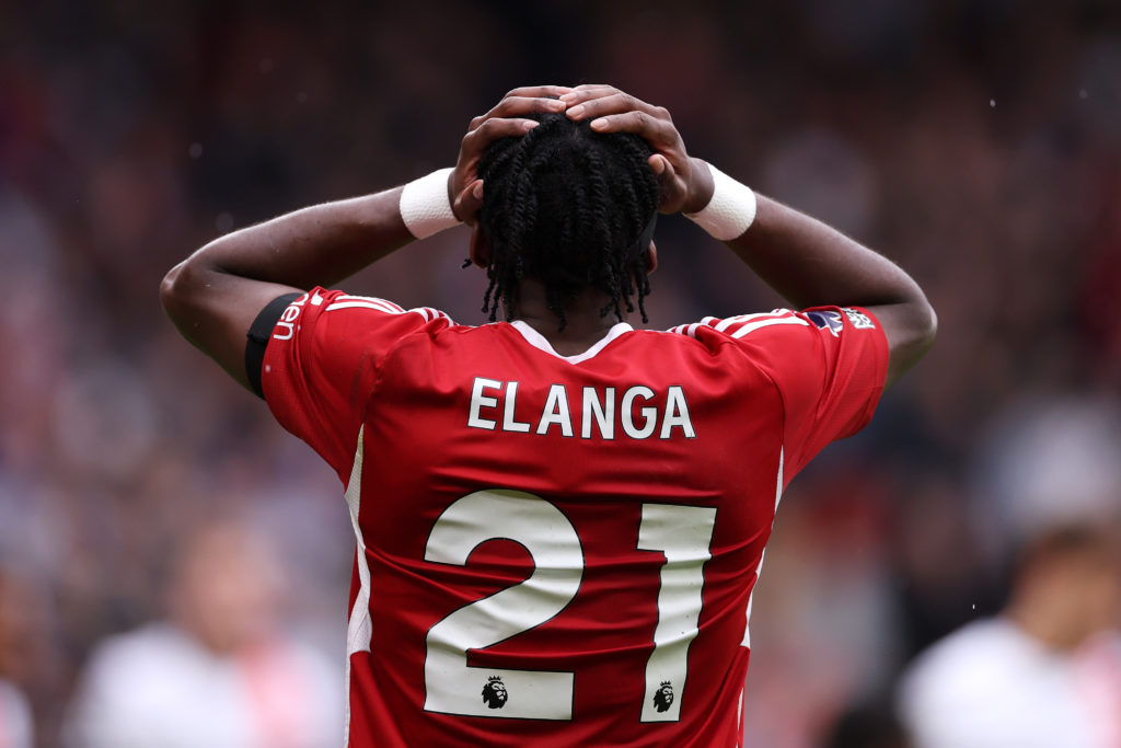 Forest Elanga