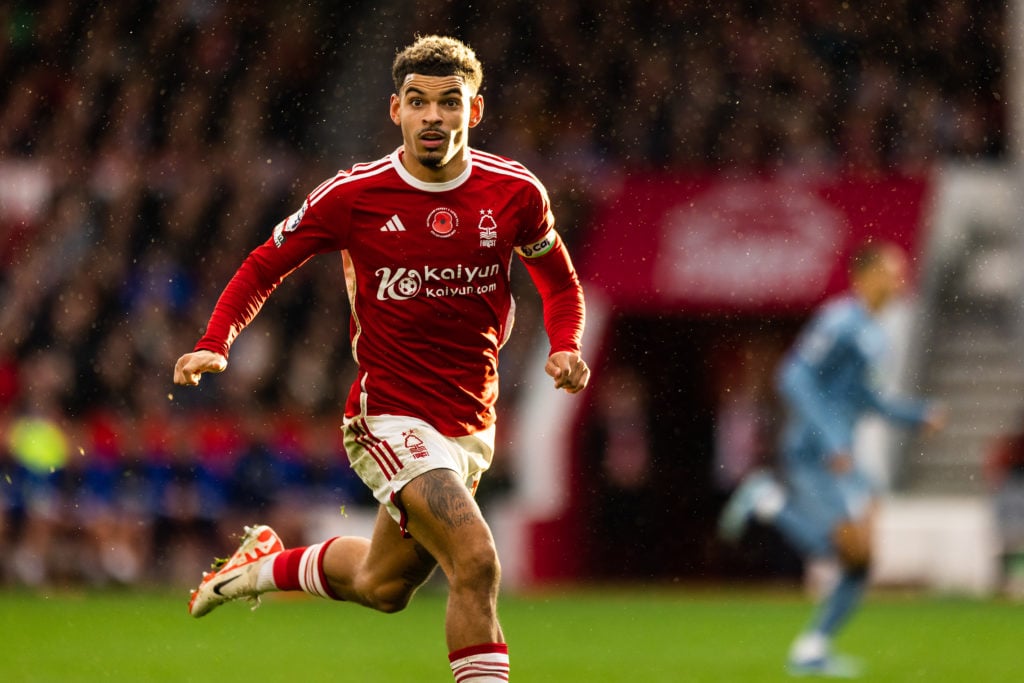 Forest Gibbs-White