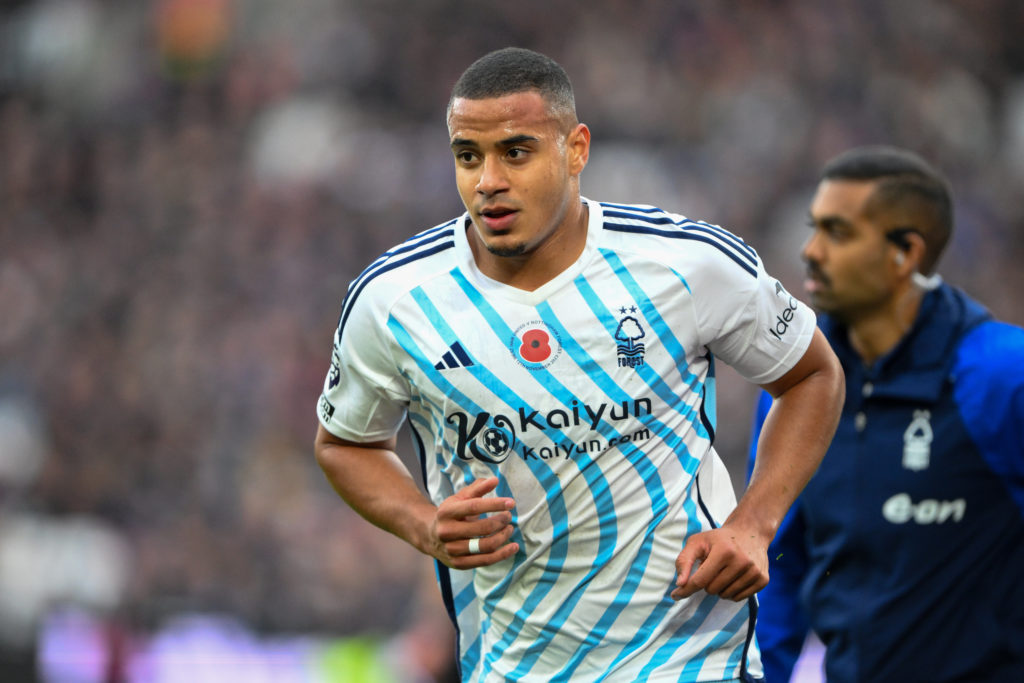 Forest Murillo