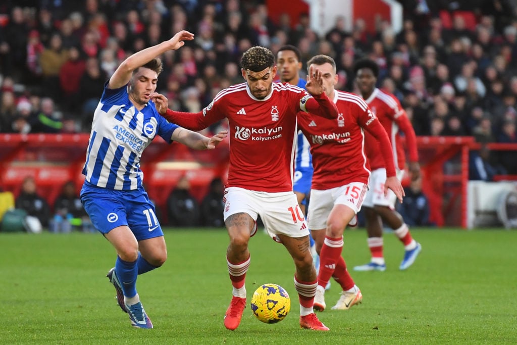 Forest Gibbs-White