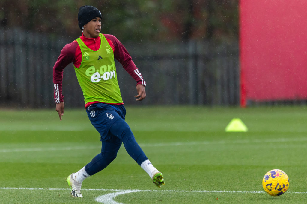 Forest Santos