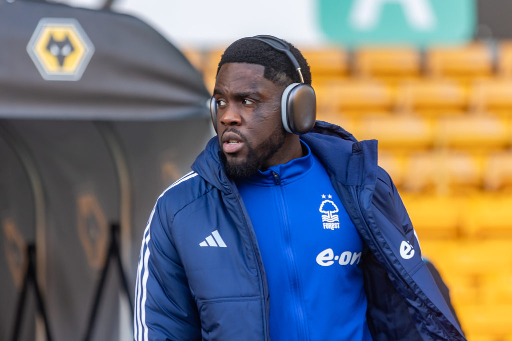Forest Mangala