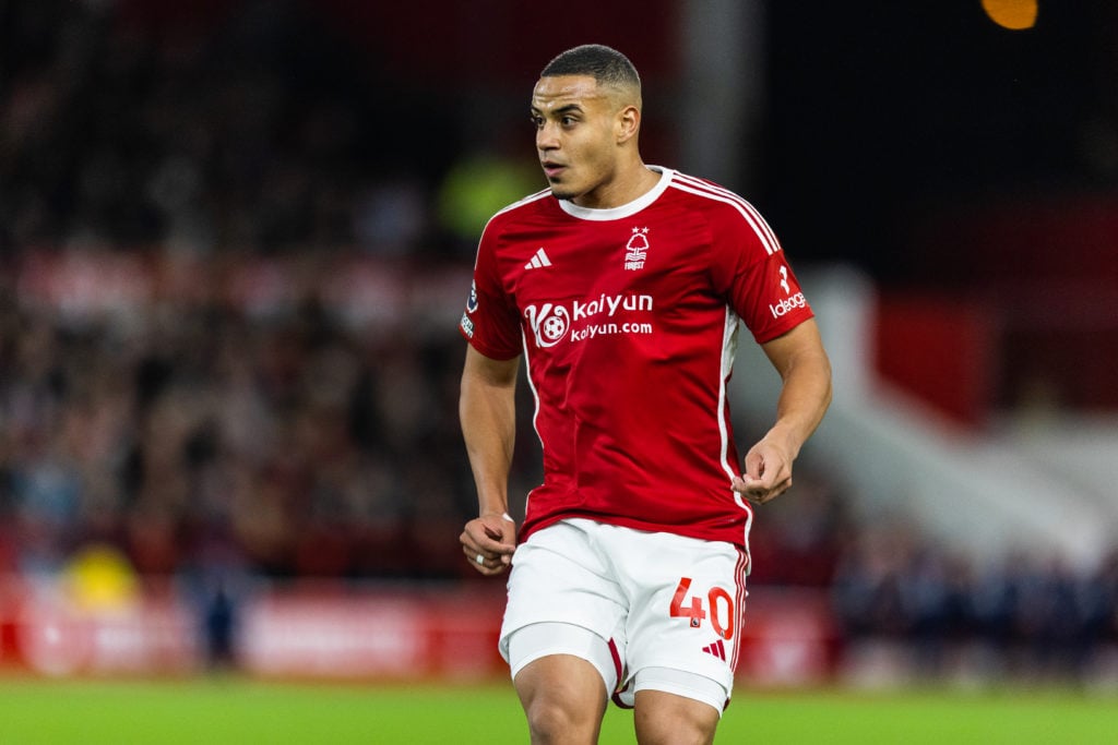 Forest Murillo