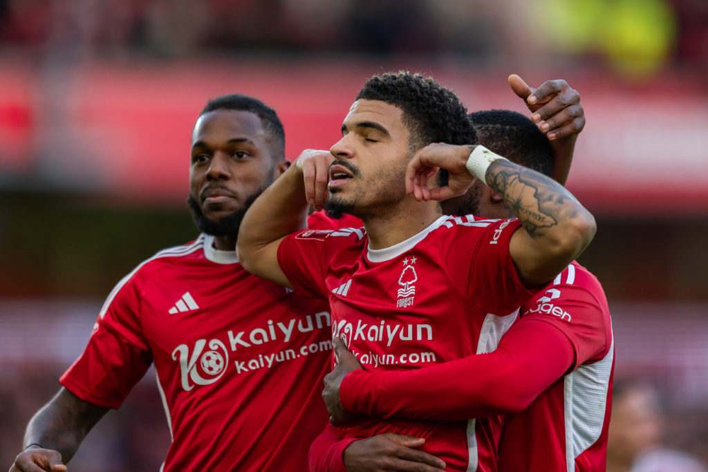 Forest Gibbs-White