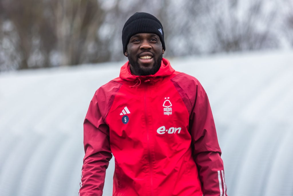 Forest Mangala