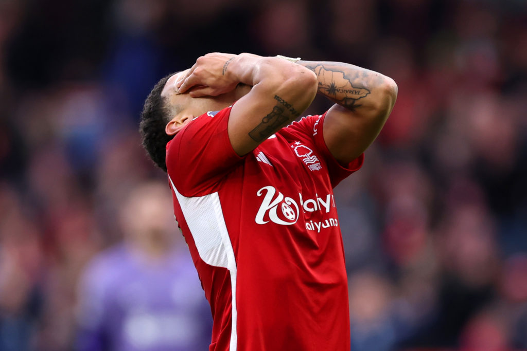 Forest Gibbs-White