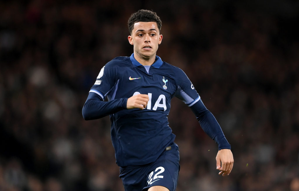 Fulham FC v Tottenham Hotspur - Premier League