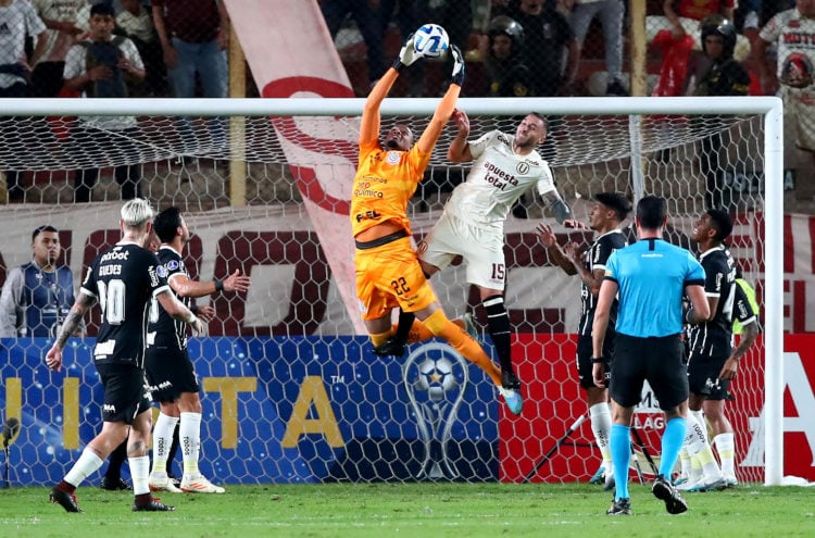 Photo by Raul Sifuentes/Getty Images