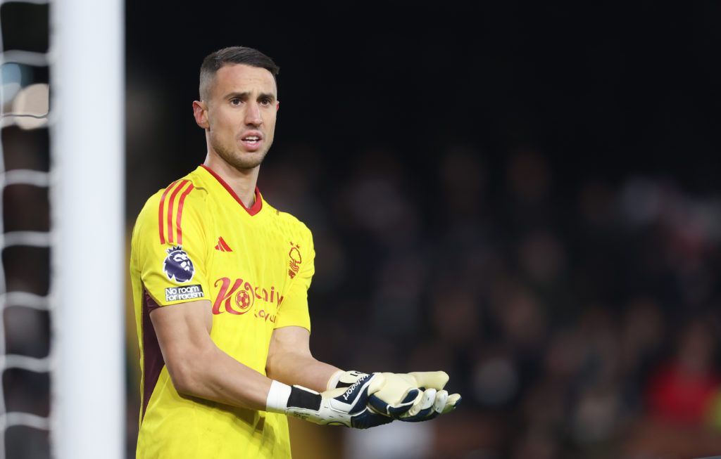 Fulham FC v Nottingham Forest - Premier League