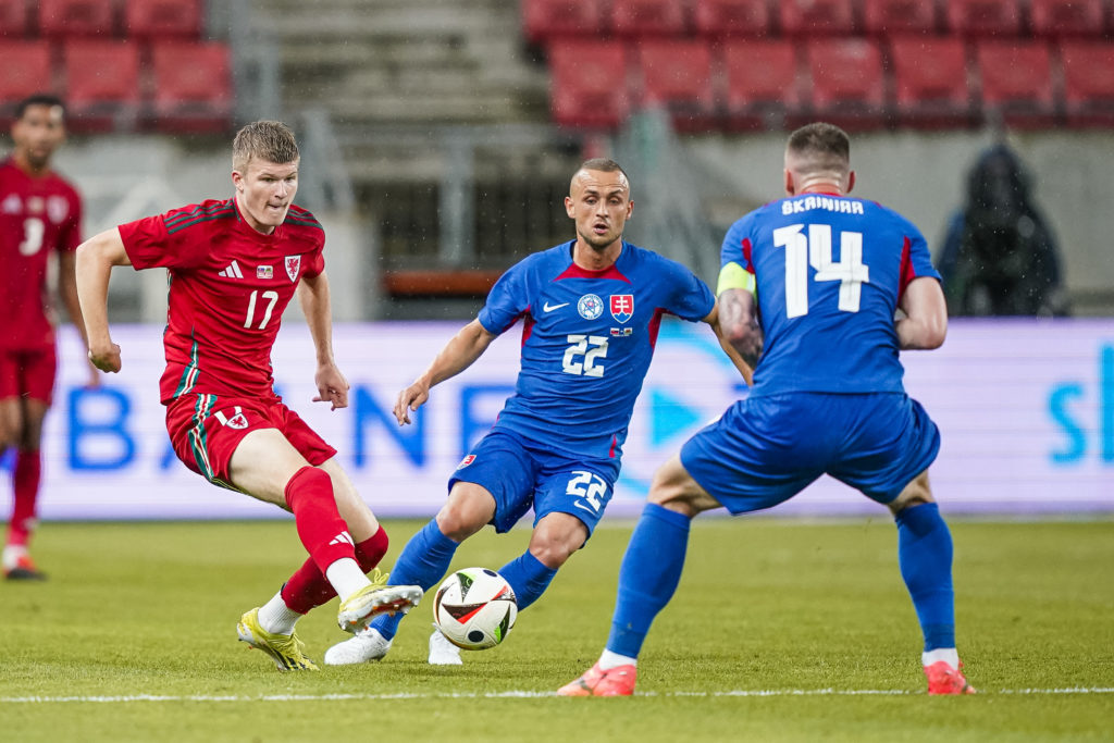 Slovakia v Wales - International Friendly