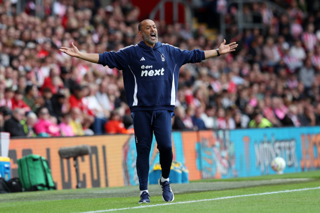 Southampton FC v Nottingham Forest FC - Premier League