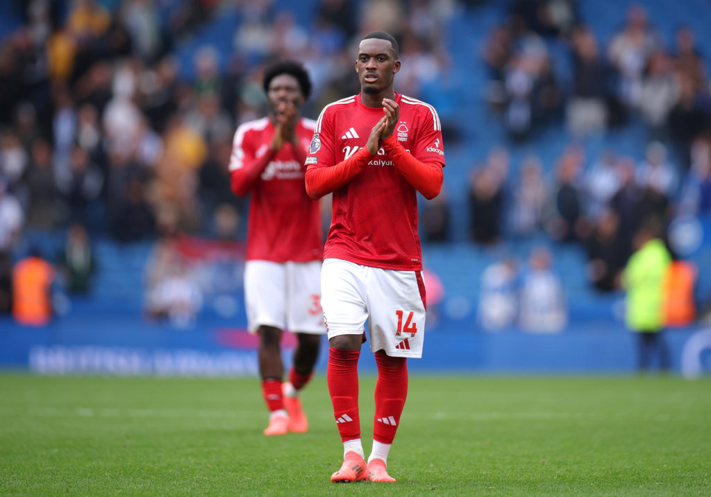 Brighton & Hove Albion FC v Nottingham Forest FC - Premier League