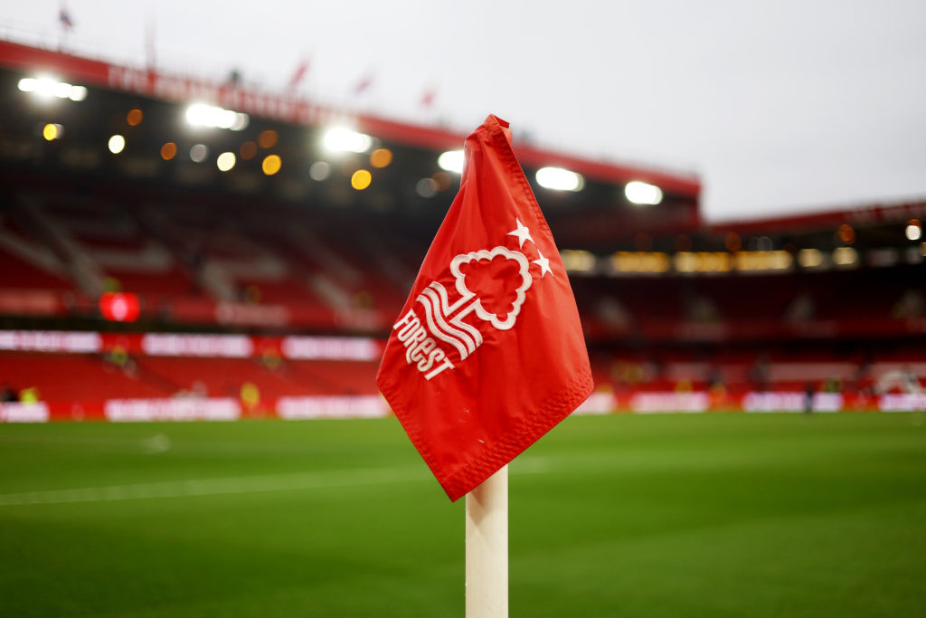 Nottingham Forest FC v Southampton FC - Premier League
