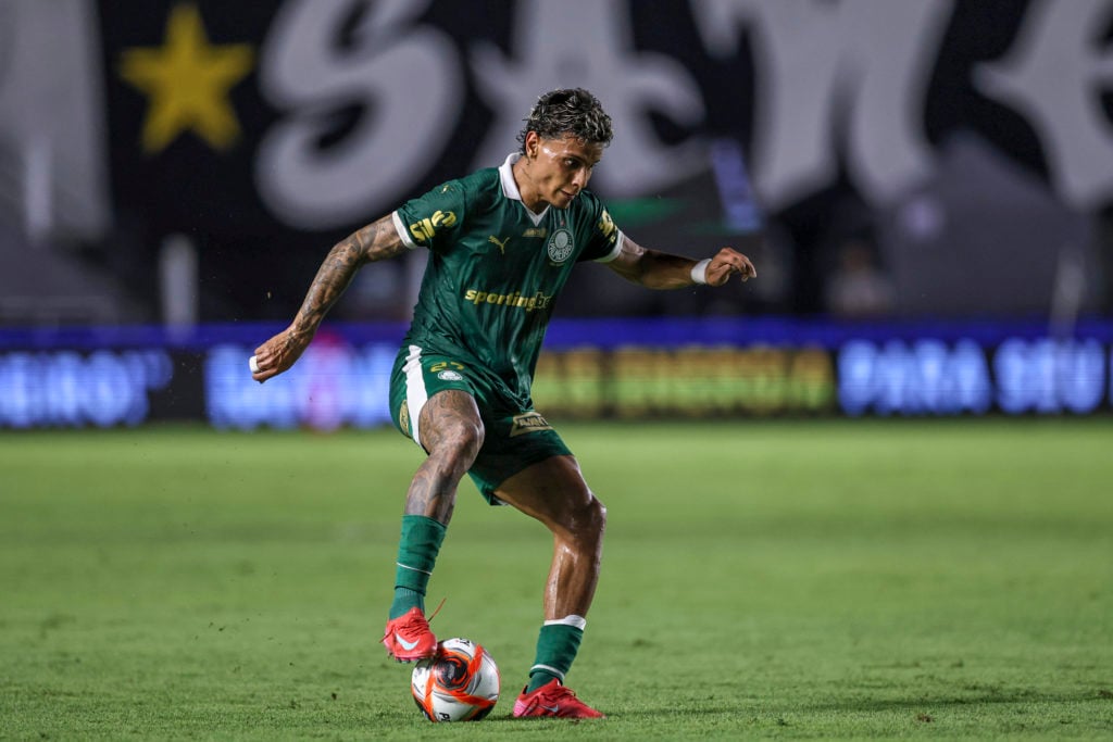 Santos v Palmeiras - Campeonato Paulista 2025
