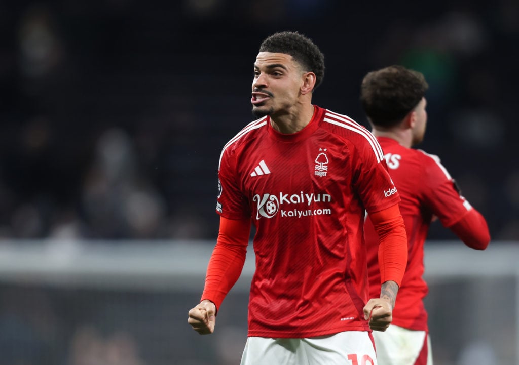 Tottenham Hotspur FC v Nottingham Forest FC - Premier League
