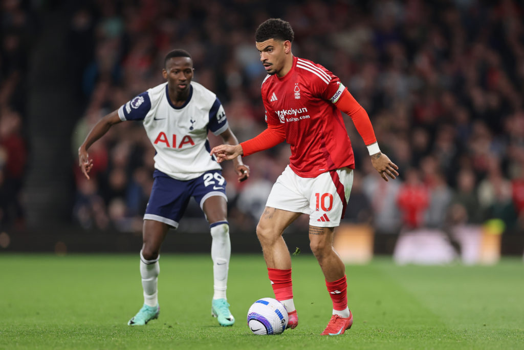 Tottenham Hotspur FC v Nottingham Forest FC - Premier League