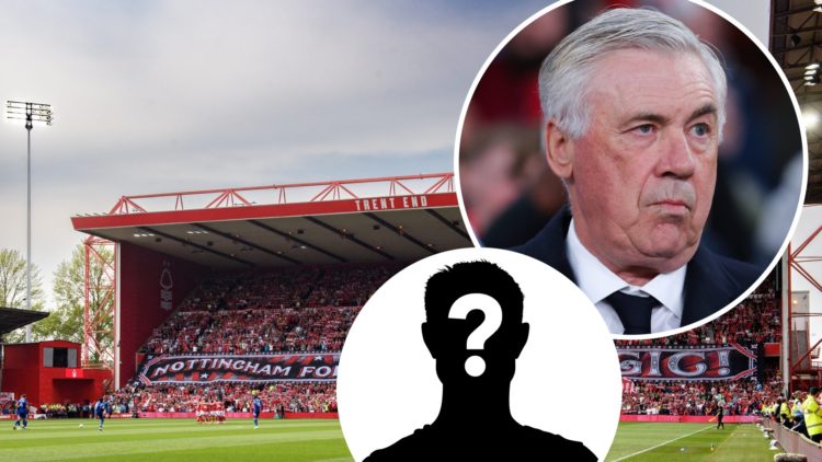 The City Ground football stadium (left) and Carlo Ancelotti looks on (right)