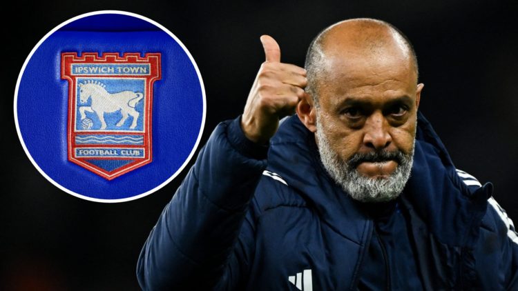 Nuno Espirito Santo does a thumbs-up as he celebrates at the end of the English Premier League football match between Tottenham Hotspur and Notting...