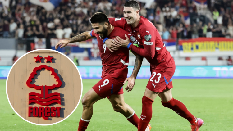 Aleksandar Mitrovic (L) of Serbia celebrates after scoring a goal with Dusan Vlahovic (R) during the FIFA World Cup 2026 European Qualifier. Inset,...