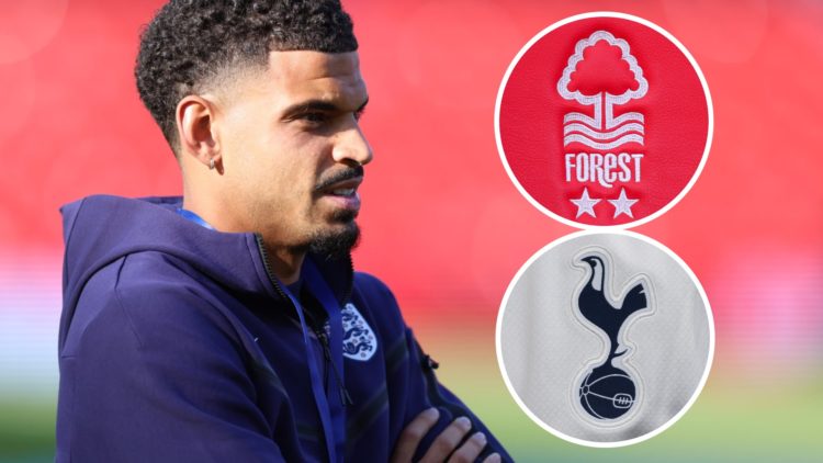 Morgan Gibbs-White on the City Ground pitch ahead of England vs Senegal. Insets: Detailed views of the club crests of Nottingham Forest and Tottenh...