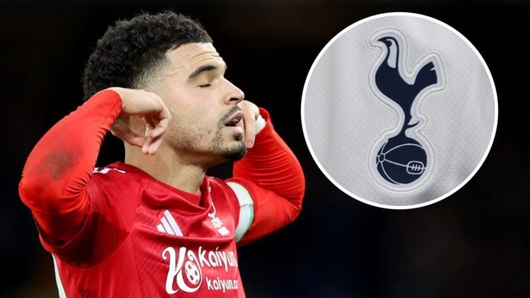 Morgan Gibbs-White celebrates scoring for Nottingham Forest against Everton. Inset: The club crest of Tottenham Hotspur