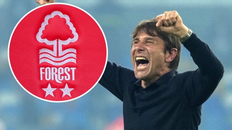 Antonio Conte celebrates after winning the Serie A title with Napoli. Inset: The Nottingham Forest badge