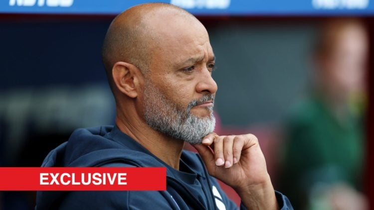 Nuno Espírito Santo looks on ahead of Crystal Palace vs Nottingham Forest