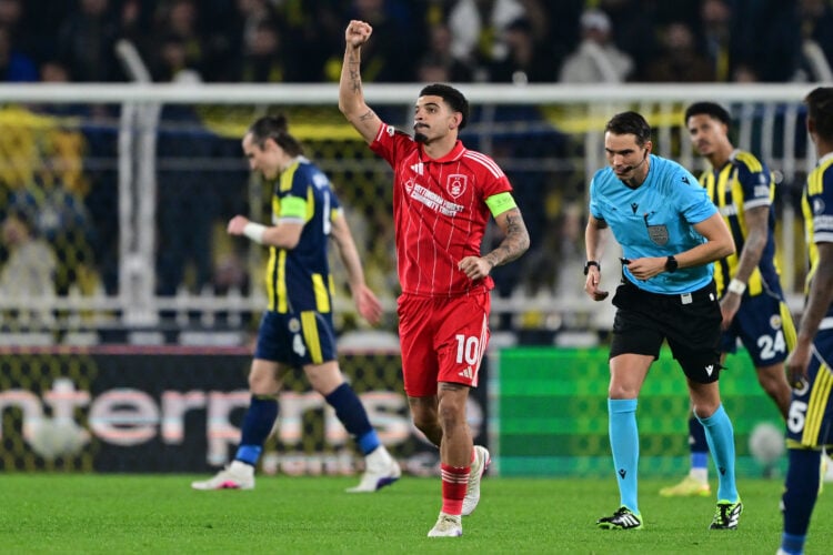 Photo by Serhat Cagdas/Anadolu via Getty Images