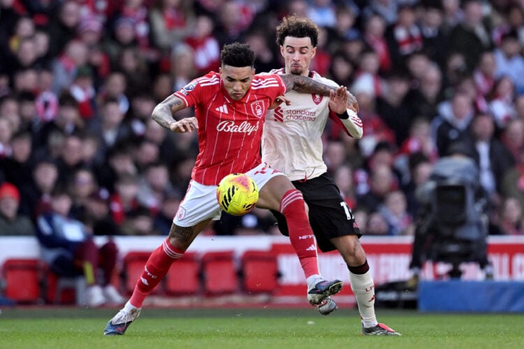 Photo by Liverpool FC/Liverpool FC via Getty Images