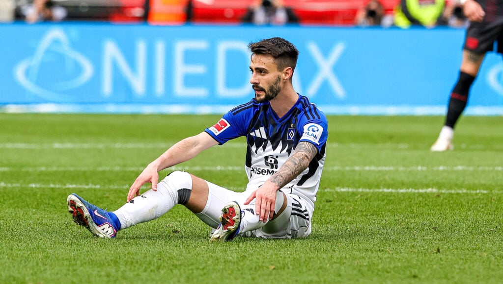 Hamburg star Fabio Vieira